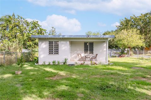 SR-313 KM 1.1 SECTOR BALLAJA MONTE GRANDE CABO ROJO 00623