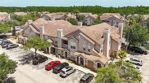 18017 VILLA CREEK DRIVE 18017 TAMPA FL 33647