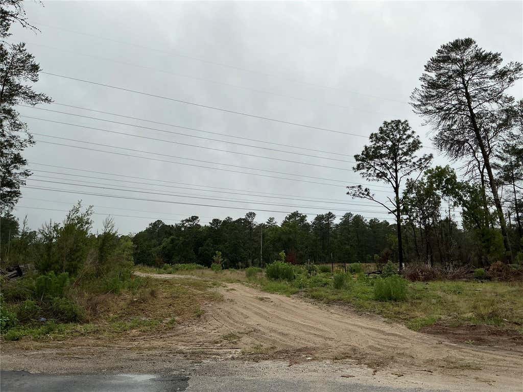 Photo of 16914 SW 44th Circle, Ocala, FL 34473 (MLS # OM730793)