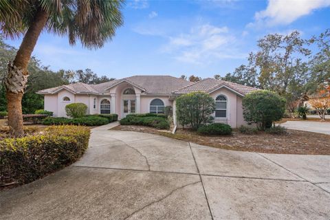 A home in HERNANDO