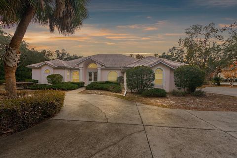 A home in HERNANDO