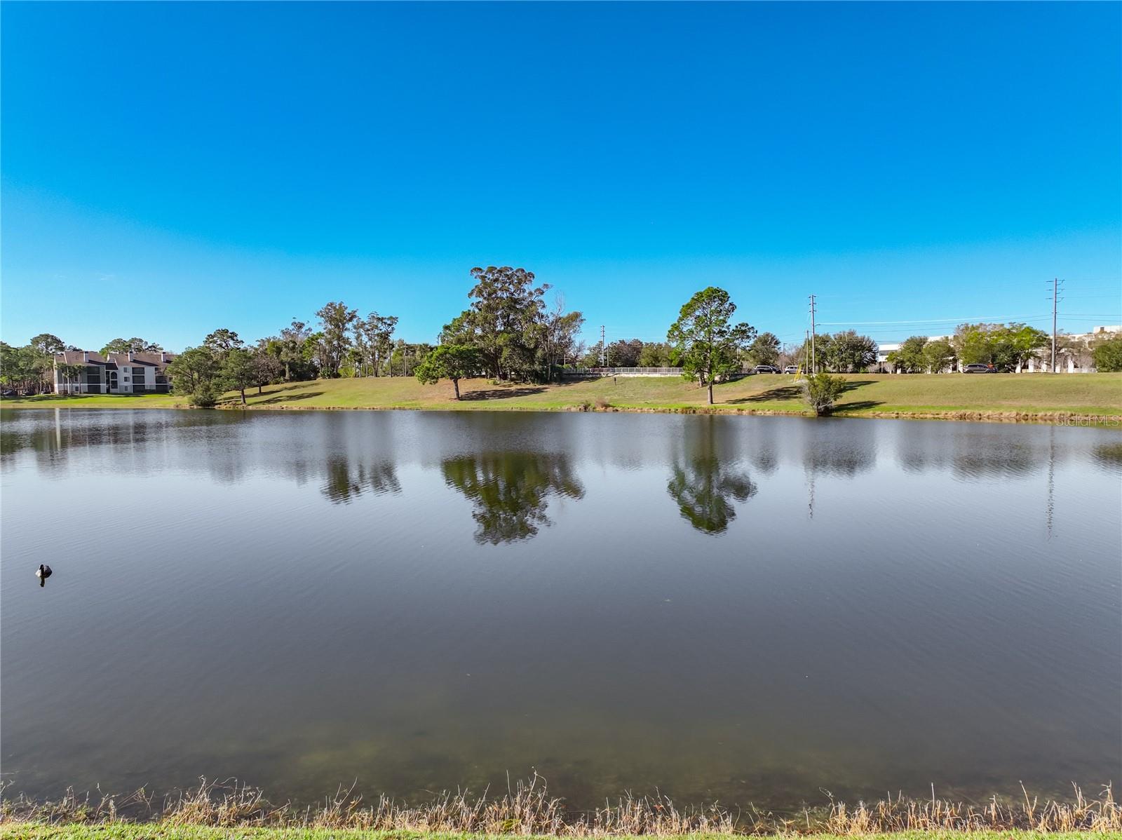 GREENWOOD LAKES UNIT 8 - Residential