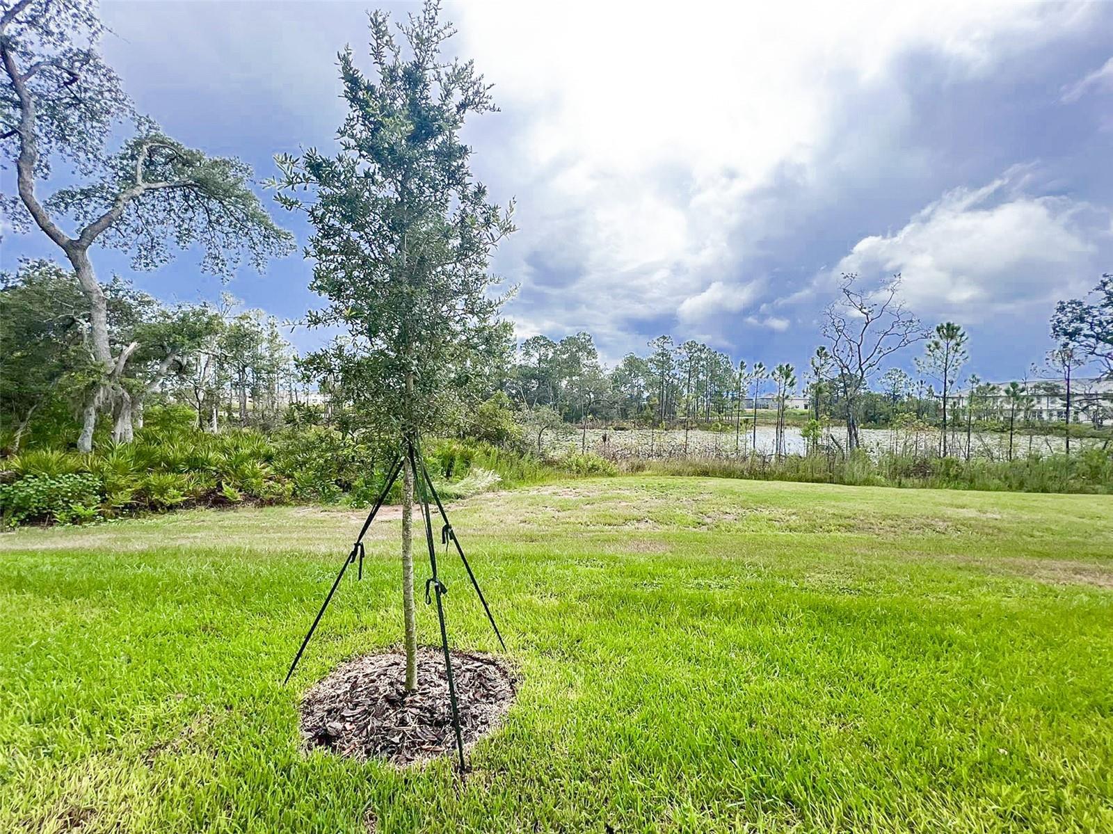 FESTIVAL PH 5 - Residential Lease