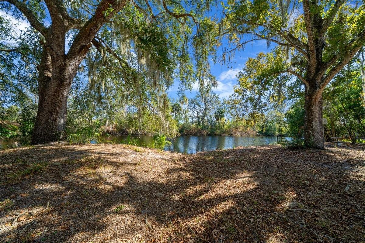 BRAITHWAITE PARK - Residential