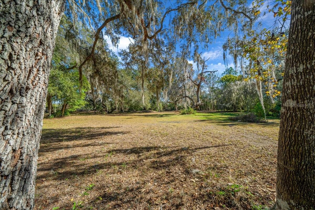 BRAITHWAITE PARK - Residential