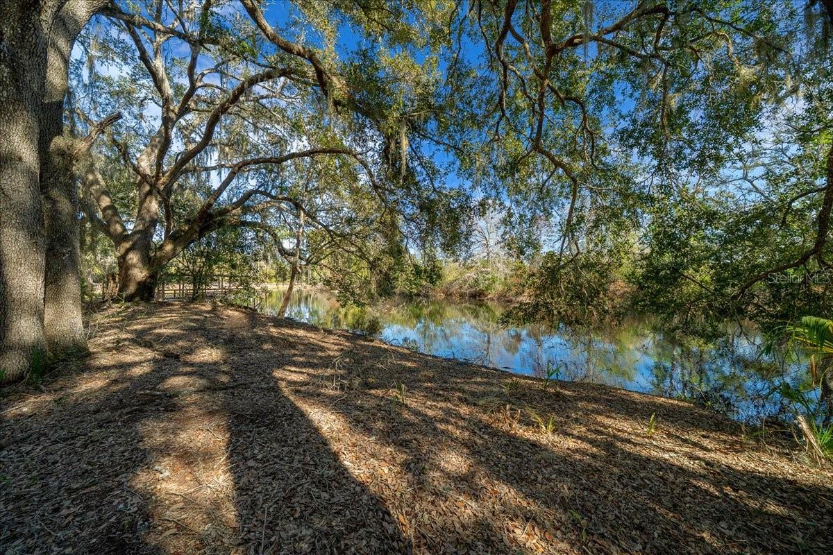 BRAITHWAITE PARK - Residential