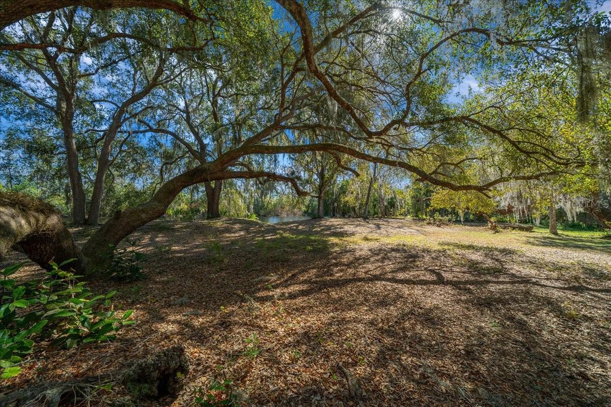 BRAITHWAITE PARK - Residential