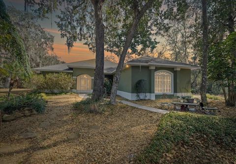 Photo of 16731 SE 181st Terrace, Weirsdale, FL 32195 (MLS # OM716842)