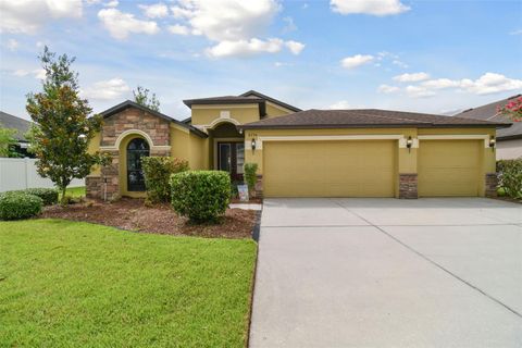 A home in WESLEY CHAPEL