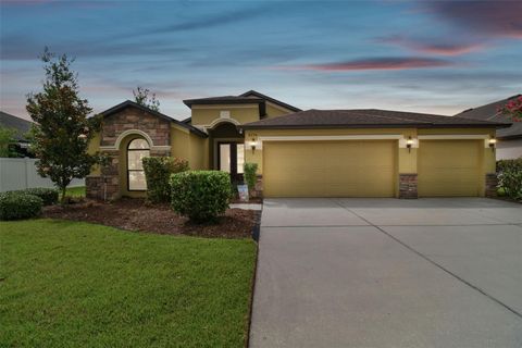 A home in WESLEY CHAPEL