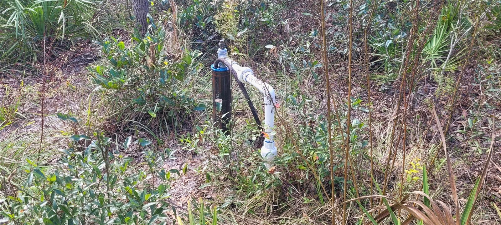 RIVER BROOK WOODS SUB - Land