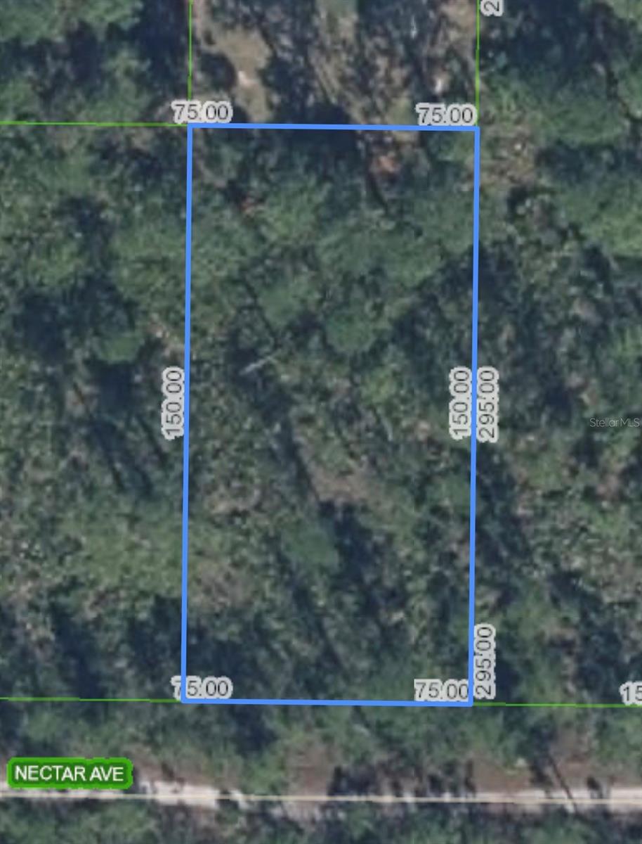 ORANGE BLOSSOM ESTATE - Land