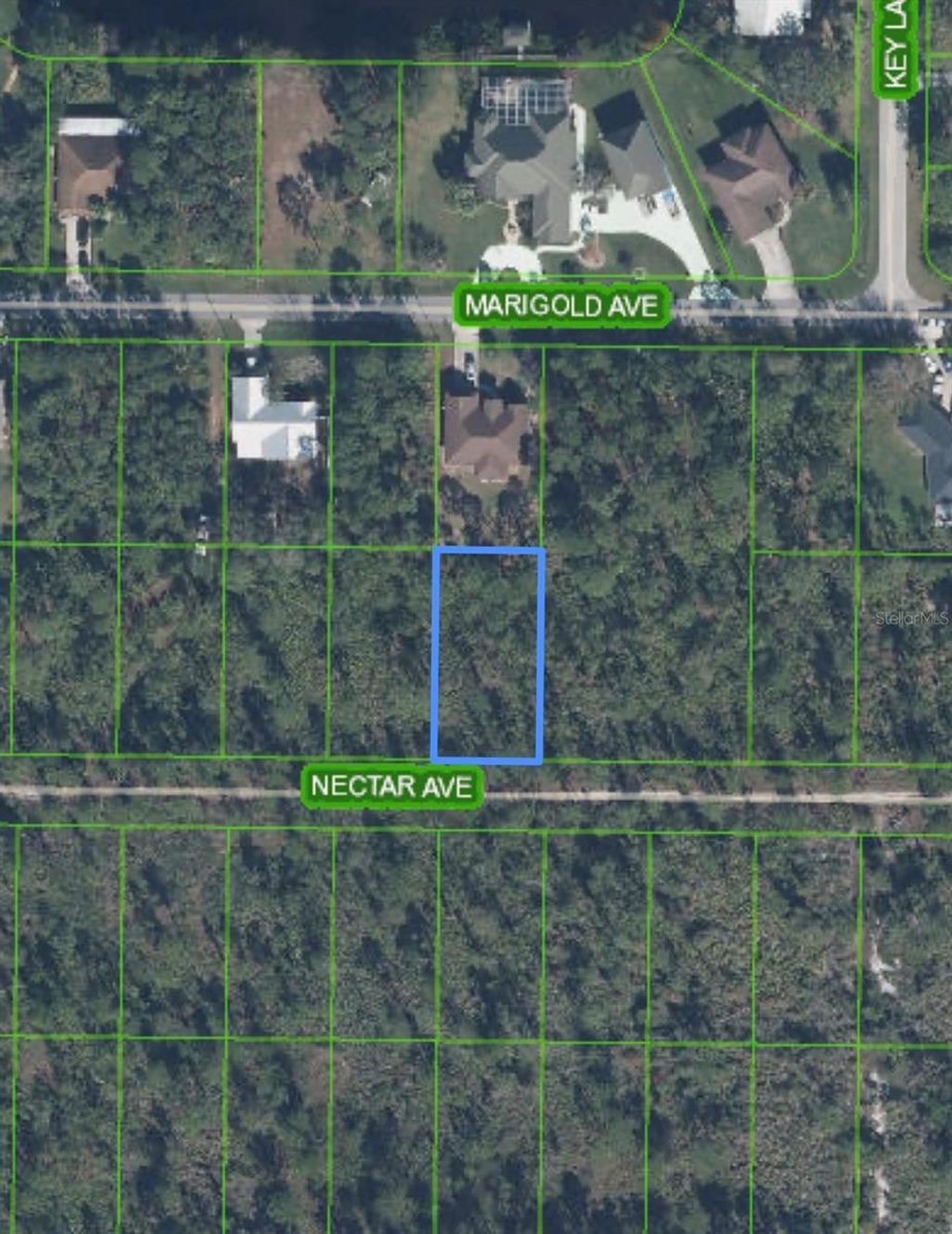 Photo of 1702 Nectar Avenue, Sebring, FL 33875 (MLS # L4960455)
