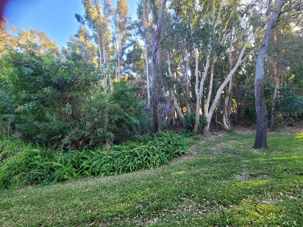 COACHMAN RESERVE CONDO - Residential Lease