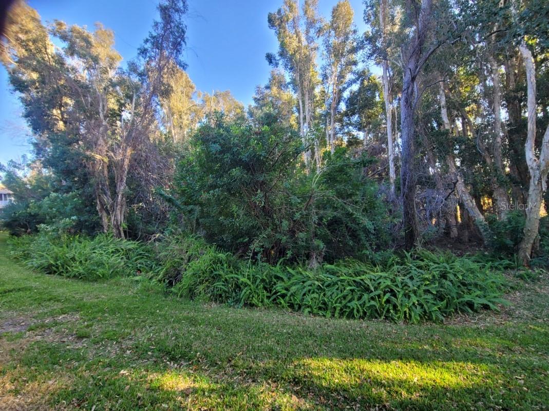 COACHMAN RESERVE CONDO - Residential Lease