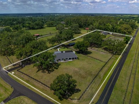 Tiny photo for 10250 NW 76th Terrace, Ocala, FL 34482 (MLS # OM724022)
