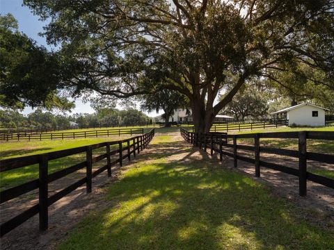 Tiny photo for 10250 NW 76th Terrace, Ocala, FL 34482 (MLS # OM724022)