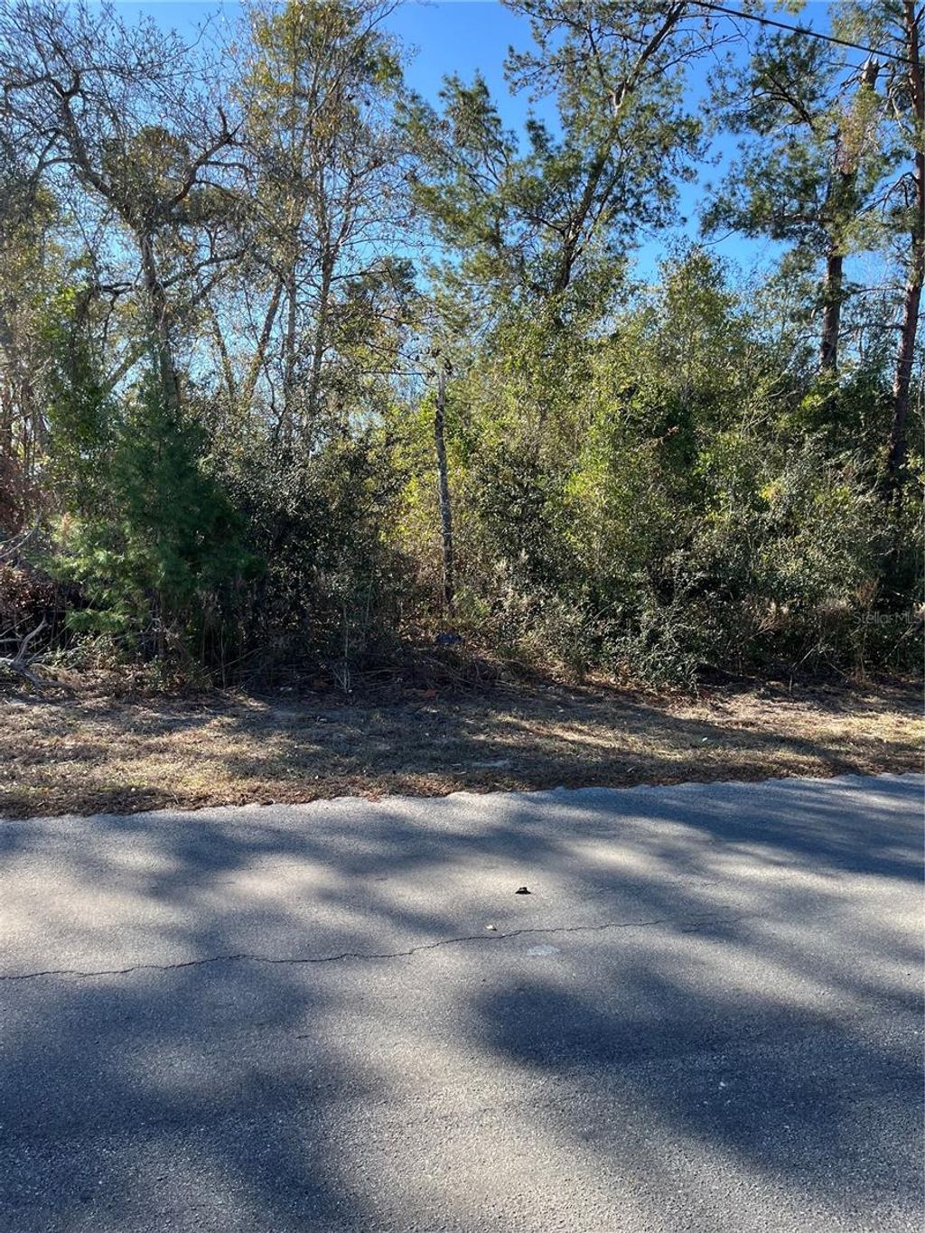 Photo of 0 Pitcairn Street, Brooksville, FL 34613 (MLS # TB8477325)