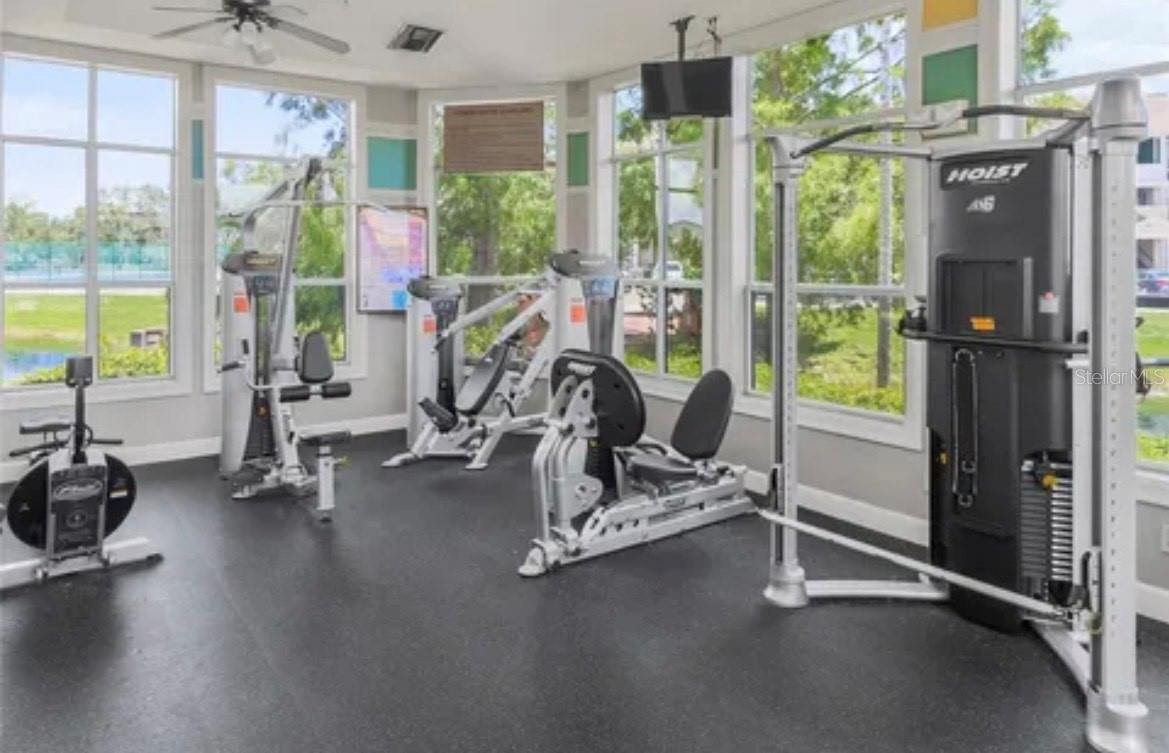 THE PALMS OF CORTEZ - Residential