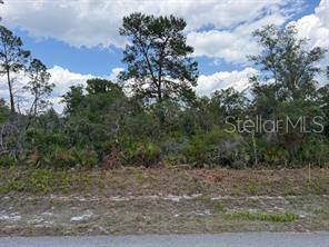 Photo of 6470 Alicia Drive, Sebring, FL 33872 (MLS # TB8530495)