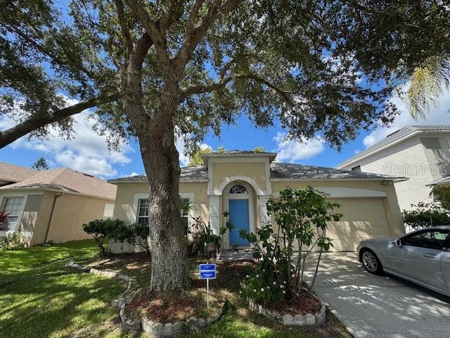 Lowest priced block single family home in all of Wesley Chapel! 3/2 with 2 car garage and a large fenced in backyard. Home needs updating throughout. Roof is 4 years old. Excellent location with top rated school minutes from I-75, The Shops at Wiregrass, Tampa Premium Outlets, and the Grove. No CDD and very low HOA fees. Sold AS-IS.