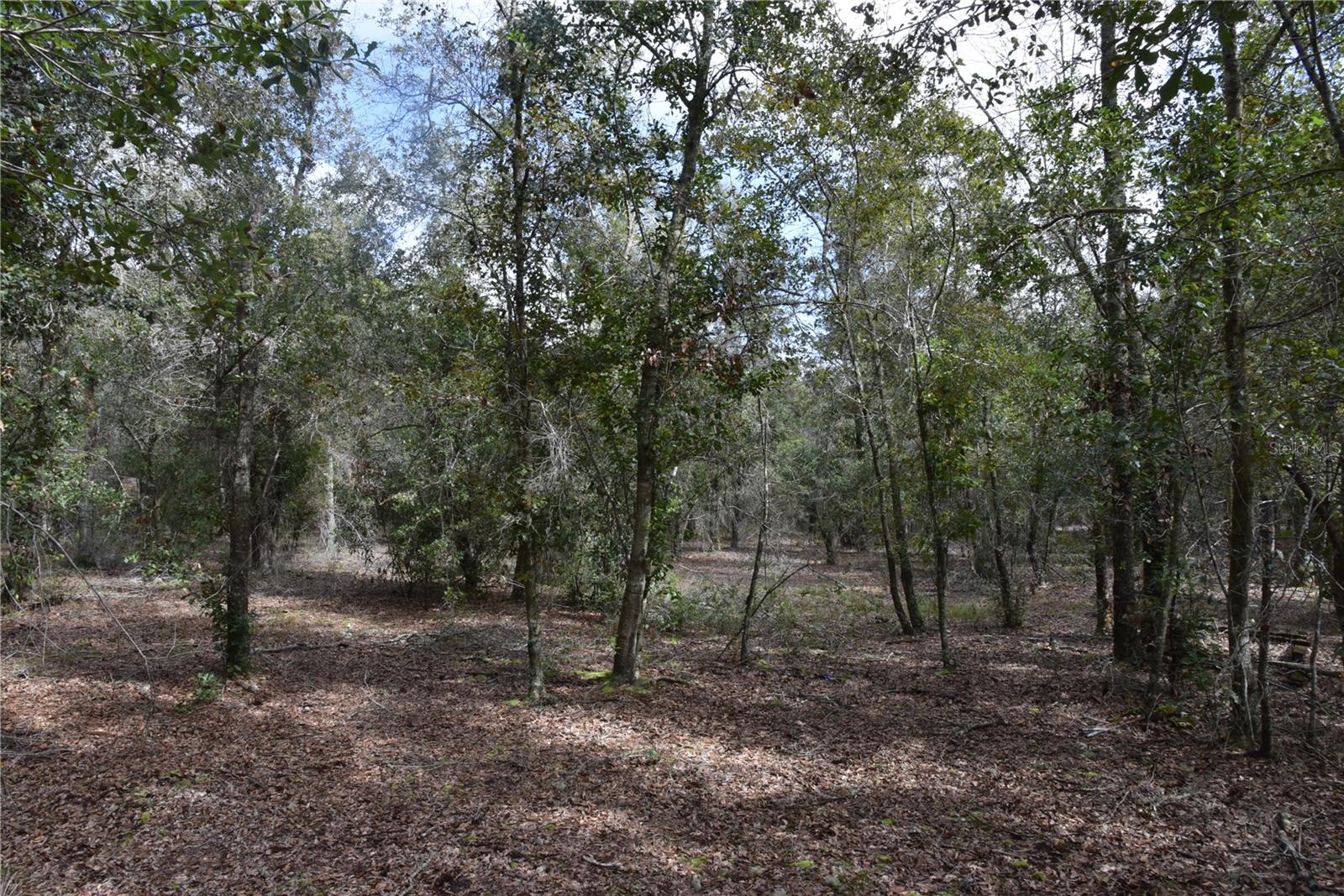 9150 SE US HIGHWAY 301