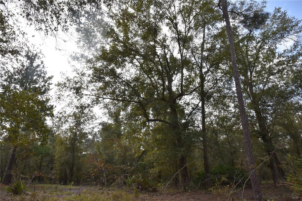 Photo of 9150 SE Us Highway 301, Hawthorne, FL 32640 (MLS # OM734755)
