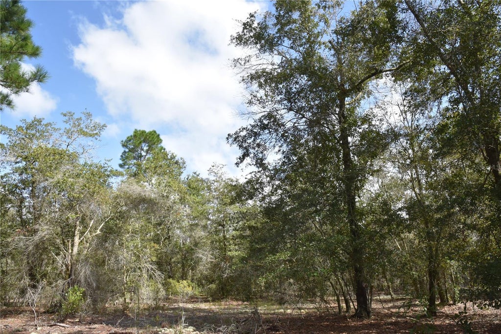 Photo of 9150 SE Us Highway 301, Hawthorne, FL 32640 (MLS # OM734755)
