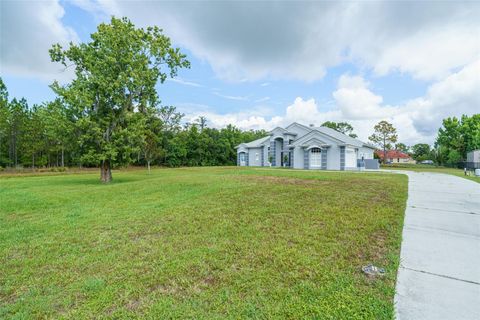 A home in ORLANDO