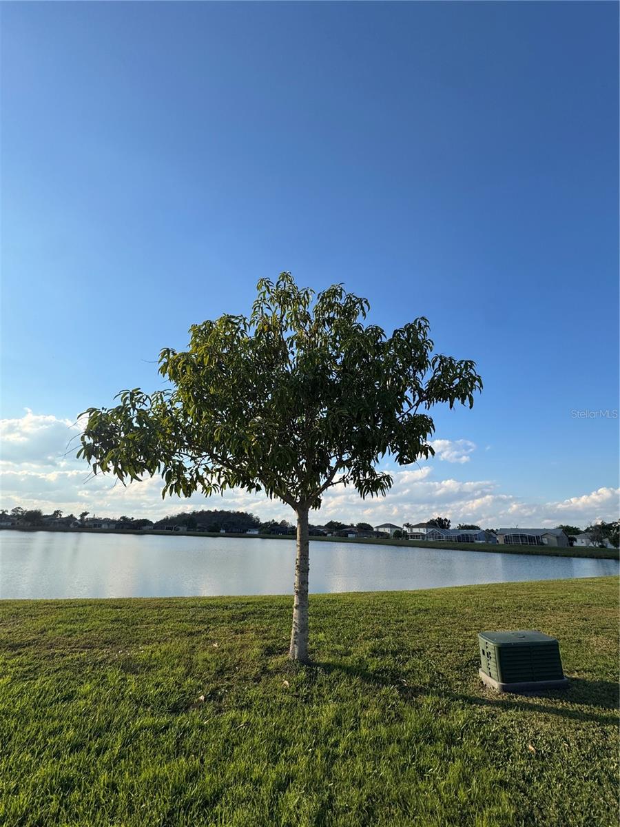 PEBBLE POINTE UNIT 2 - Residential