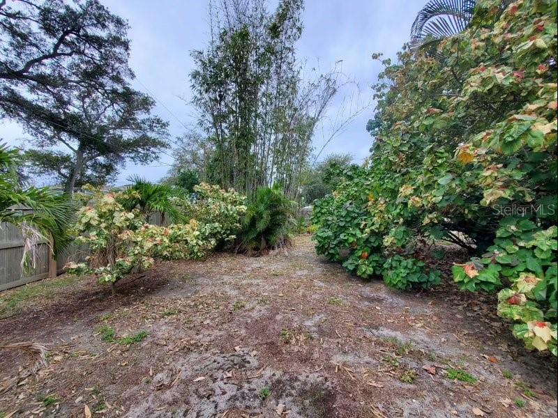 MOUNT VERNON - Residential Lease