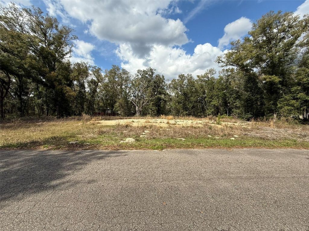 Photo of 5 Fisher Lane Course, Ocklawaha, FL 32179 (MLS # O6368736)