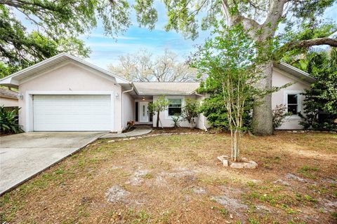 Photo of 27 Summit Lane, Safety Harbor, FL 34695 (MLS # TB8492840)
