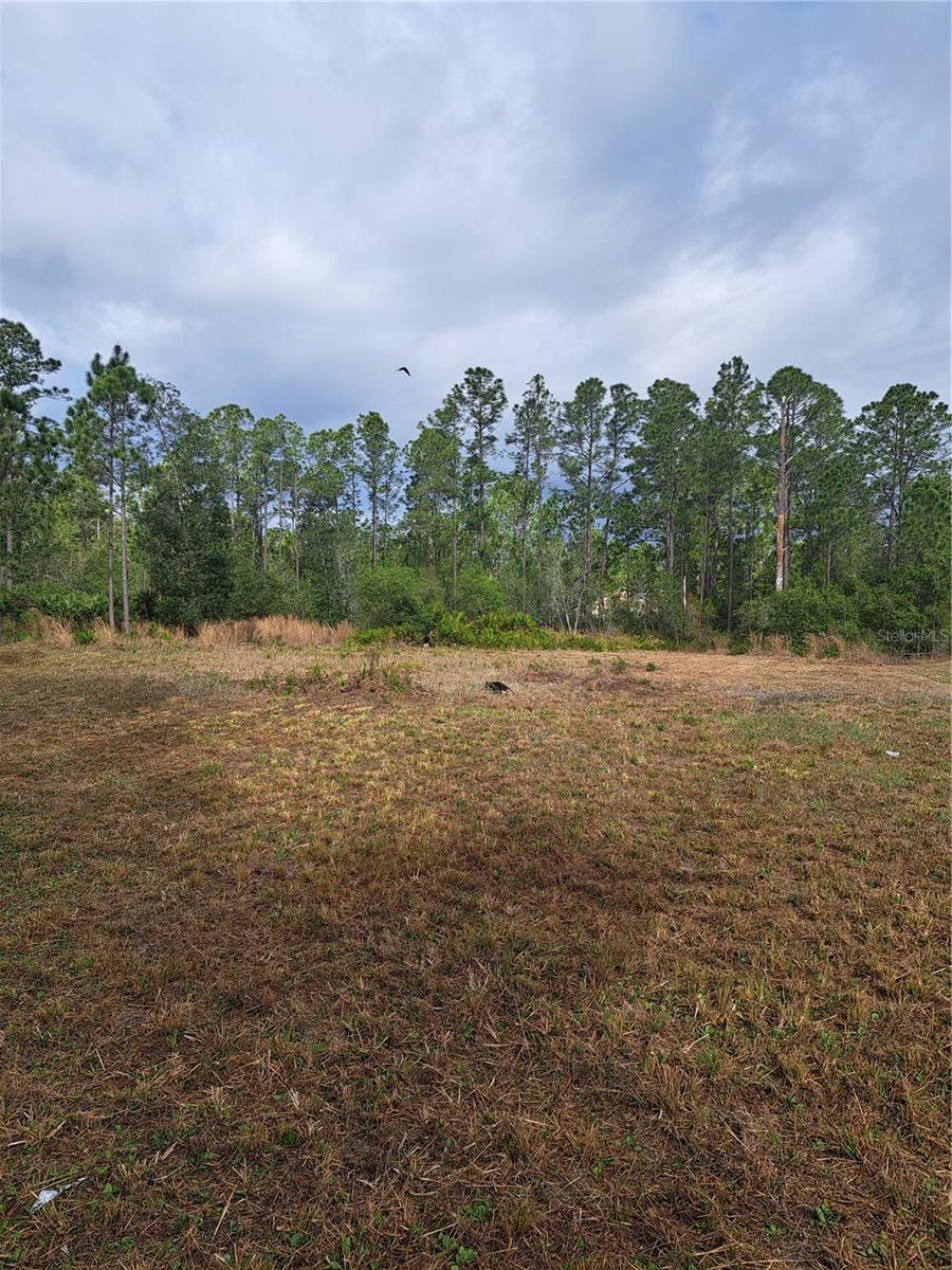 GREENGROVE ESTATES - Land