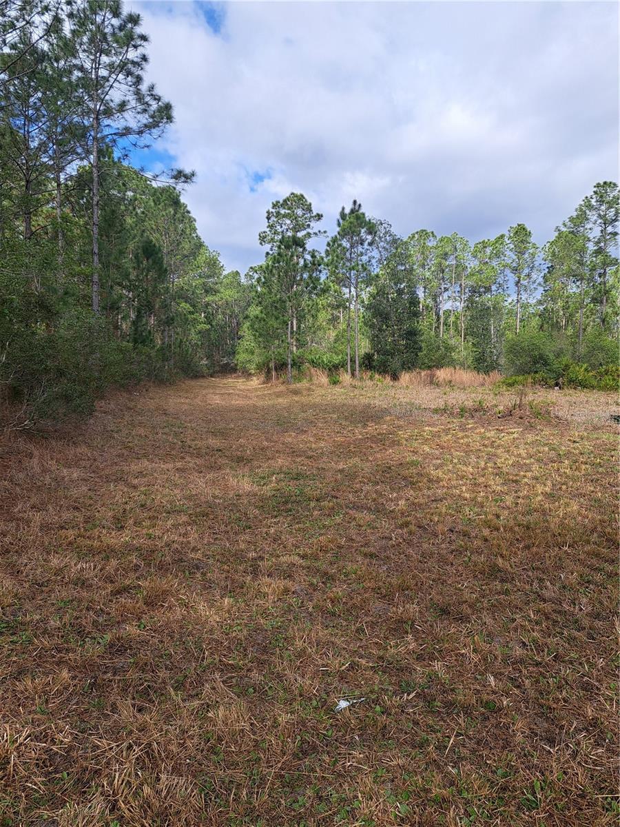 GREENGROVE ESTATES - Land