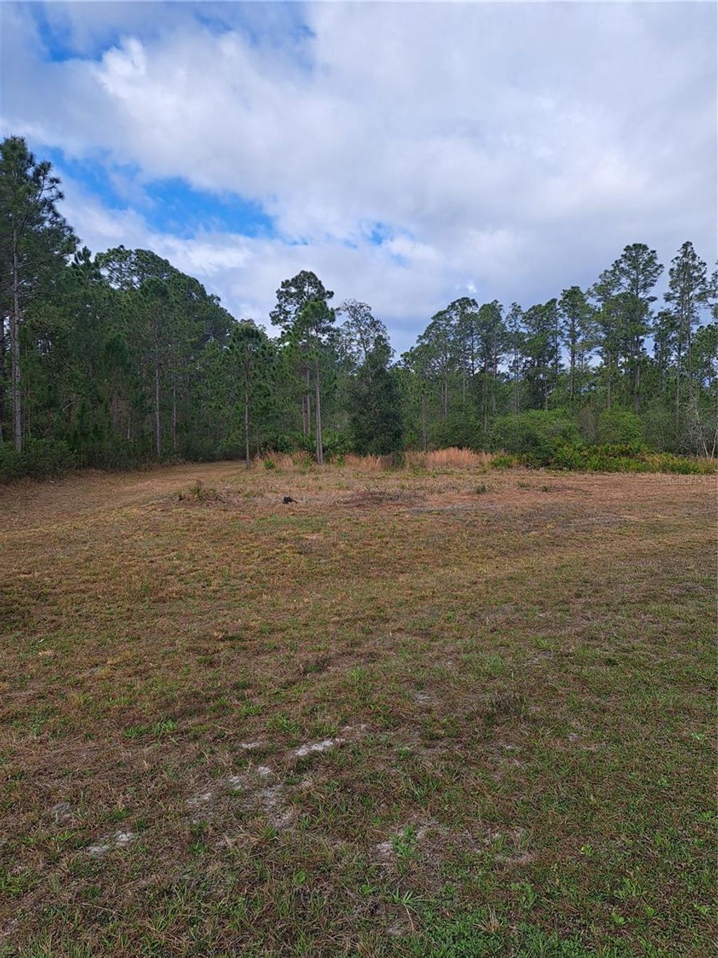 Photo of Greengrove Boulevard, Clermont, FL 34714 (MLS # G5109665)
