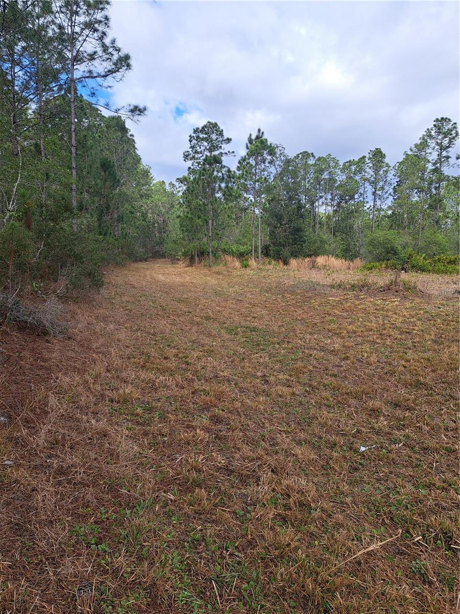 GREENGROVE ESTATES - Land