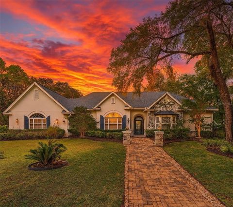 19811 LAKE DORR ROAD ALTOONA FL 32702