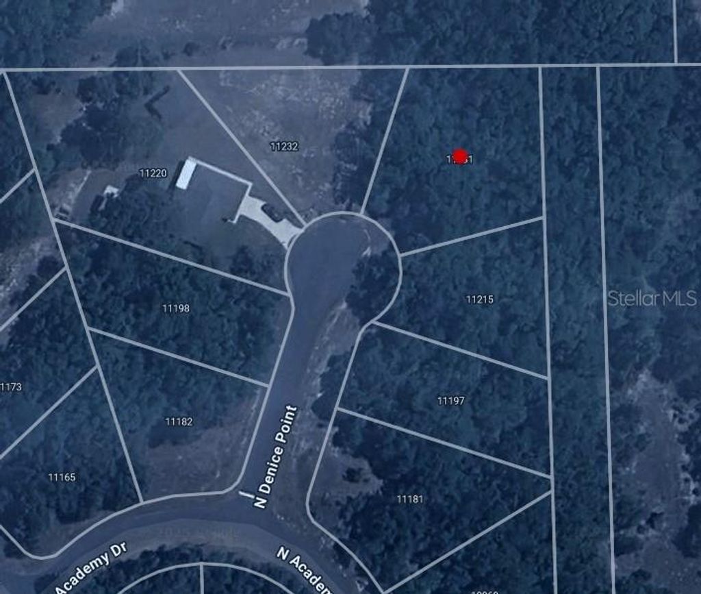 Photo of 11231 N Denice Point, Dunnellon, FL 34434 (MLS # C7515569)