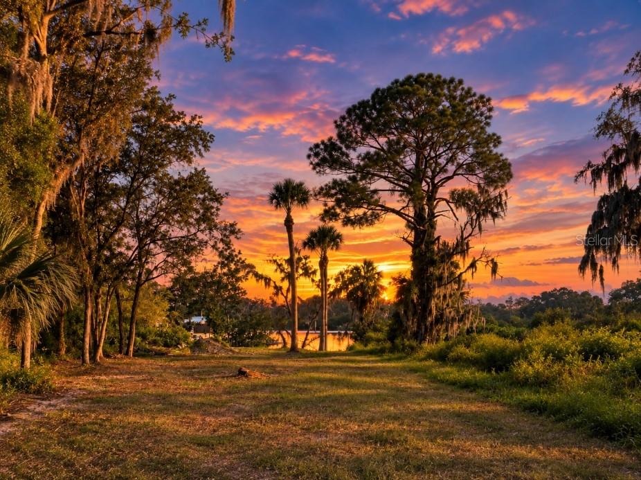 Photo of Tiberius Trail, New Port Richey, FL 34652 (MLS # W7889561)