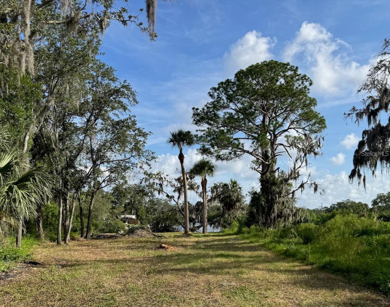 TIBERIUS TRAIL