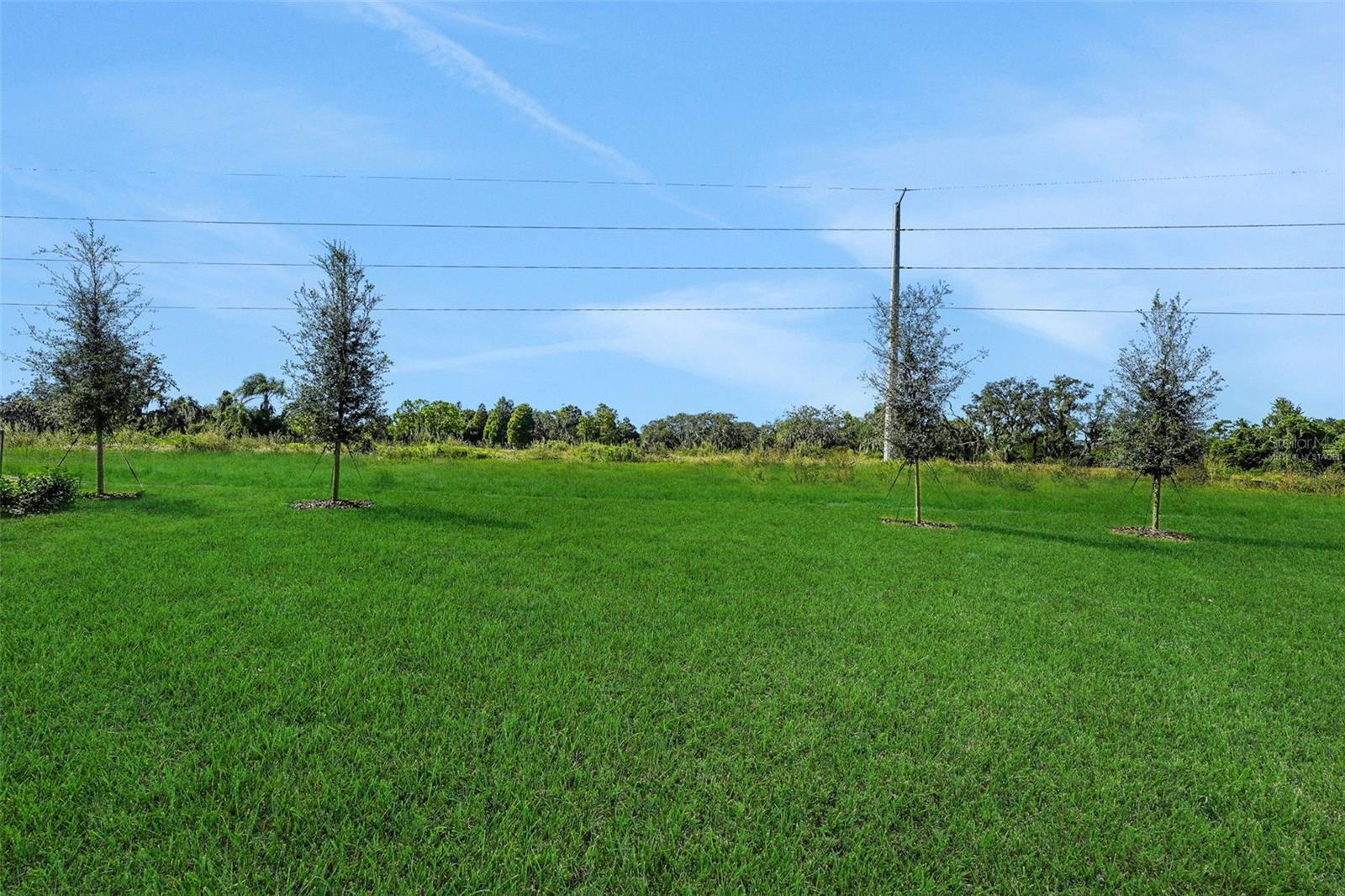 WILLOWBROOK - Residential