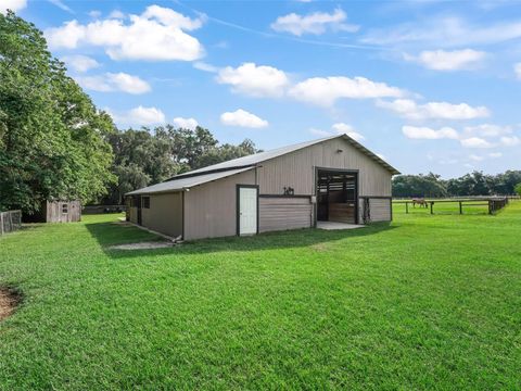Tiny photo for 18370 NW 20th Avenue, Citra, FL 32113 (MLS # OM701452)