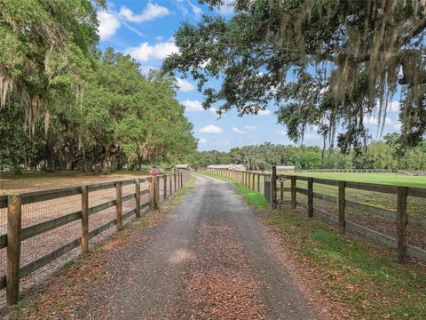 Tiny photo for 18370 NW 20th Avenue, Citra, FL 32113 (MLS # OM701452)