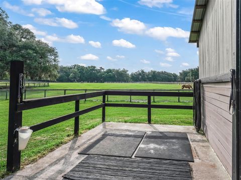 Tiny photo for 18370 NW 20th Avenue, Citra, FL 32113 (MLS # OM701452)