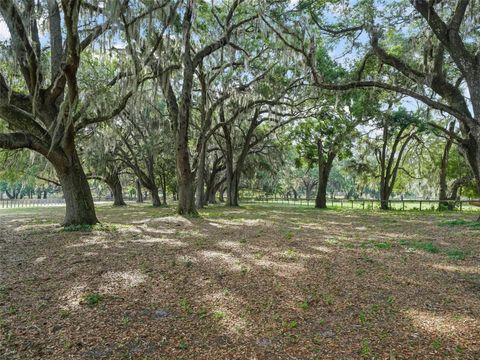 Tiny photo for 18370 NW 20th Avenue, Citra, FL 32113 (MLS # OM701452)