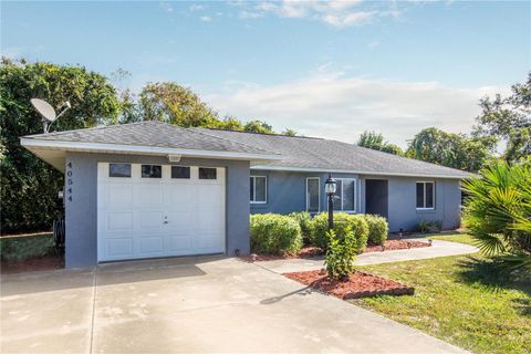 Photo of 40544 E 7th Avenue, Umatilla, FL 32784 (MLS # G5074984)