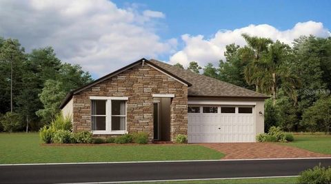 Photo of 22857 Berry Patch Place, Land O Lakes, FL 34637 (MLS # J998229)