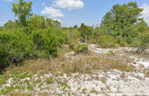 Photo of 103 Vera Lane NW, Lake Placid, FL 33852 (MLS # C7524626)