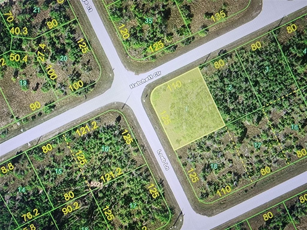 Photo of 10184 Loeb Lane, Port Charlotte, FL 33981 (MLS # O6372076)